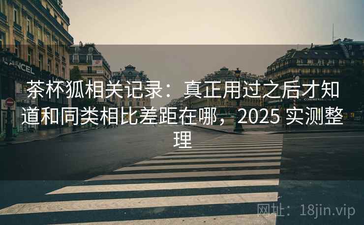 茶杯狐相关记录：真正用过之后才知道和同类相比差距在哪，2025 实测整理  第2张