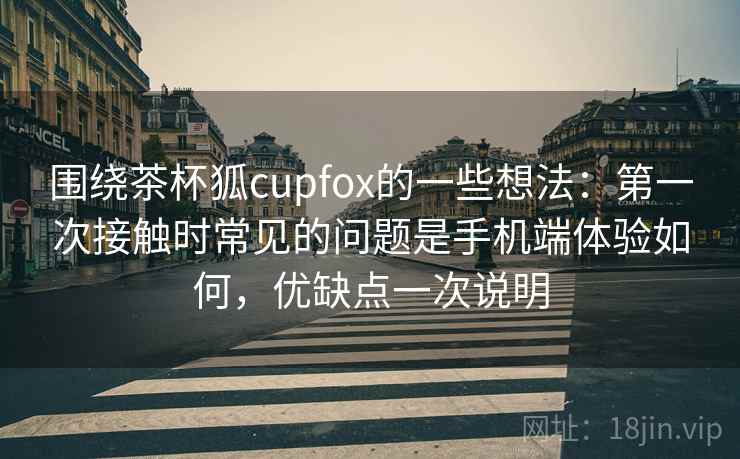 围绕茶杯狐cupfox的一些想法：第一次接触时常见的问题是手机端体验如何，优缺点一次说明  第2张