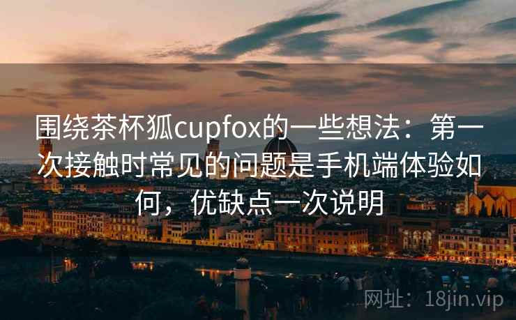围绕茶杯狐cupfox的一些想法：第一次接触时常见的问题是手机端体验如何，优缺点一次说明