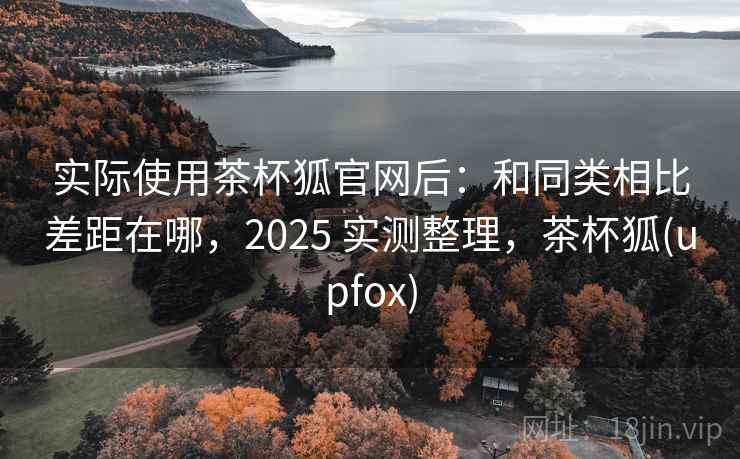 实际使用茶杯狐官网后：和同类相比差距在哪，2025 实测整理，茶杯狐(upfox)  第2张