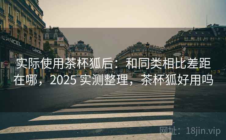 实际使用茶杯狐后:和同类相比差距在哪,2025 实测整理,茶杯狐好用吗 第2张 实际使用茶杯狐后:和同类相比差距在哪,2025 实测整理,茶杯狐好用吗 第2张