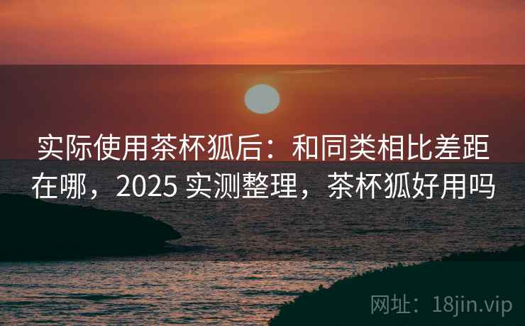 实际使用茶杯狐后:和同类相比差距在哪,2025 实测整理,茶杯狐好用吗