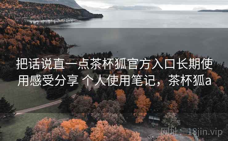 把话说直一点茶杯狐官方入口长期使用感受分享 个人使用笔记，茶杯狐a