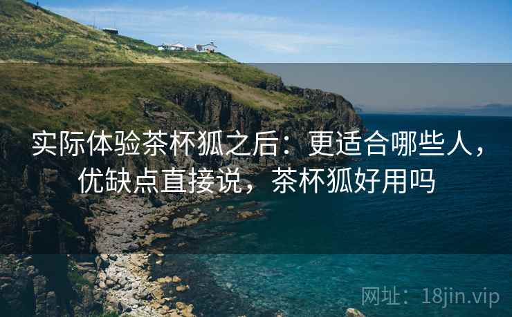 实际体验茶杯狐之后:更适合哪些人,优缺点直接说,茶杯狐好用吗 第2张 实际体验茶杯狐之后:更适合哪些人,优缺点直接说,茶杯狐好用吗 第2张