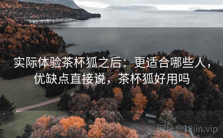 实际体验茶杯狐之后：更适合哪些人，优缺点直接说，茶杯狐好用吗