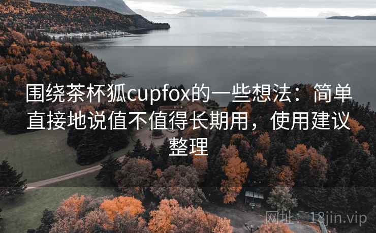 围绕茶杯狐cupfox的一些想法:简单直接地说值不值得长期用,使用建议整理 第2张 围绕茶杯狐cupfox的一些想法:简单直接地说值不值得长期用,使用建议整理 第2张