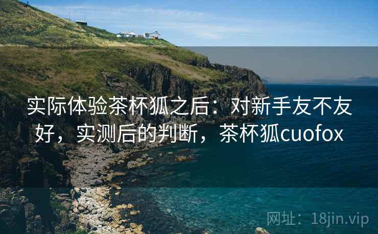 实际体验茶杯狐之后:对新手友不友好,实测后的判断,茶杯狐cuofox