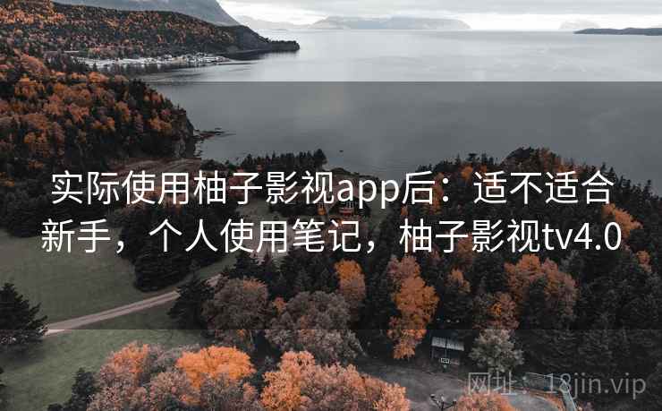 实际使用柚子影视app后:适不适合新手,个人使用笔记,柚子影视tv4.0